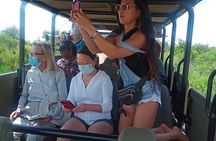 3 Hour Pilanesberg Afternoon Open Vehicle safari drive (Self drive)
