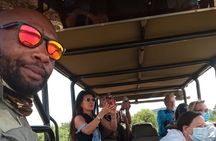 Full Day Ultimate Pilanesberg National Park Safari from Johannesburg or Pretoria