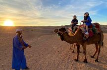 Desert Agafay Dinner Show and Camel Ride with Magical view 