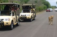 Kruger Park Safari Private Full-Day Tour from Marloth Park