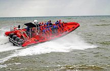 Whale Watching by RIB Speedboat from Downtown Reykjavik