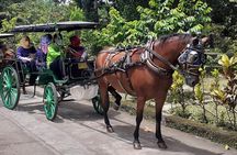 Authentic Andong Tour