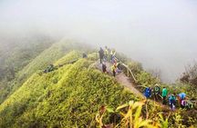 Fansipan Mount Trekking 1 Day