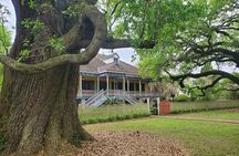 N’awlins Luxury: Laura Plantation Tour w/Transportation