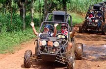 Punta Cana Buggy Adventure: Cenotes, Beach & Fun