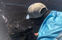 Airboat Swamp Tour with Transportation from New Orleans