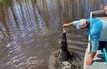 Airboat Swamp Tour with Transportation from New Orleans
