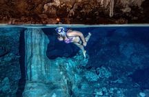 Private Full-Day: Dolphin & Monkey Jungle Adventure