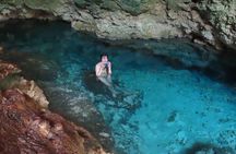 Private Full-Day: Dolphin & Monkey Jungle Adventure