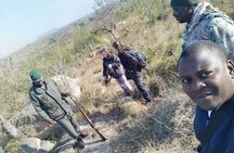 Kruger National Park Morning Walk minimum 4people 