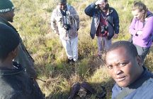 Kruger National Park Morning Walk minimum 4people 