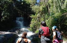 Chiang Mai: Doi Suthep Summit Trek – 7 Hour Pure Hiking Adventure