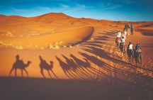 Premium Desert Safari with BBQ Dinner - Dubai