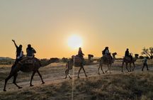 2 Hours of Camel Safari in Cappadocia 