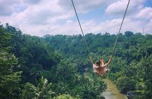 Fullday Bali Ubud Tour - Private All Inclusive 