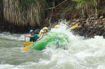 Full-Day Guided Adventure Tour in the Forest of San Ramón
