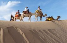 1 Day Dromedary Ride Near Essaouira