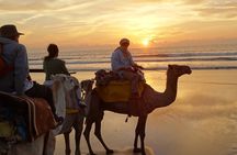 1 Day Dromedary Ride Near Essaouira