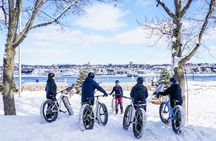 Amazing Winter Guided Biking Adventure in Old Quebec