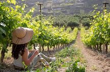 “ARISMARI” – Vineyard Tour & Wine Tasting