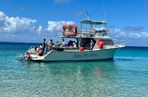 Culebra Snorkeling and beach Day Experience by boat 
