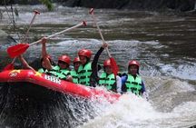 Ubud White Water Rafting on the Ayung River with Pickup & Lunch