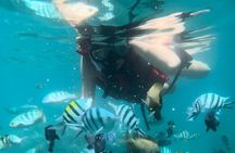 Bali Snorkeling at Blue Lagoon with Waterfall Include Lunch 