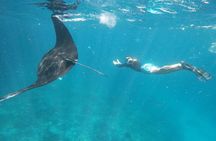 Snorkeling Manta Bay And West Penida Private Guided Tour