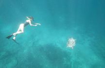 Snorkeling Manta Bay And West Penida Private Guided Tour
