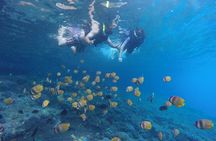 Snorkeling Manta Bay And West Penida Private Guided Tour
