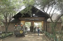 One Day Tour to Maasai Mara Game reserve from Nairobi