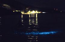 Bioluminescent Kayak Tour