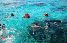 Stingray City Private Charters