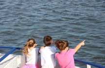 1.5-Hour Charleston Harbor Cruise with Live Narration