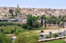 a day in Meknes Volubilis and Moulay Idriss from Fes