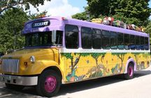 Park Xcaret Plus with Transportation from Cancun and Riviera Maya