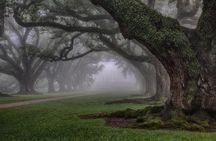 N’awlins Luxury: Oak Alley Plantation & Pontoon Swamp Tour w/Transportation