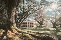 N’awlins Luxury: Oak Alley Plantation & Pontoon Swamp Tour w/Transportation