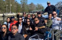 Nawlins Luxury: Airboat Swamp Tour with Transportation