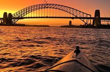 Sunrise Paddle Session on Syndey Harbour 