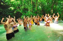 Dunn's River Falls, shopping and lunch