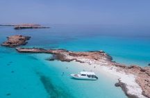 Cruises to Daymaniyat & Snorkeling