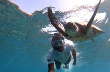 Cruises to Daymaniyat & Snorkeling
