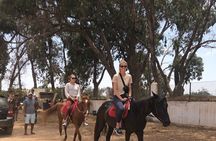 Horse Riding Agadir