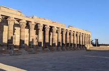 Private Tour Abu Simbel from Aswan