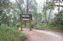 Coney island: Cycle in Singapore like a local! Eat like a local! 