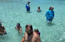 Puerto Rico: Bio Bay Swim and Sunset Charter or Late night tour 