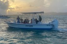 Puerto Rico: Bio Bay Swim and Sunset Charter or Late night tour 