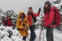 Poon Hill Trek