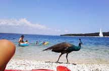 Stop on Island & National Park Day Cruise with Lunch Drinks